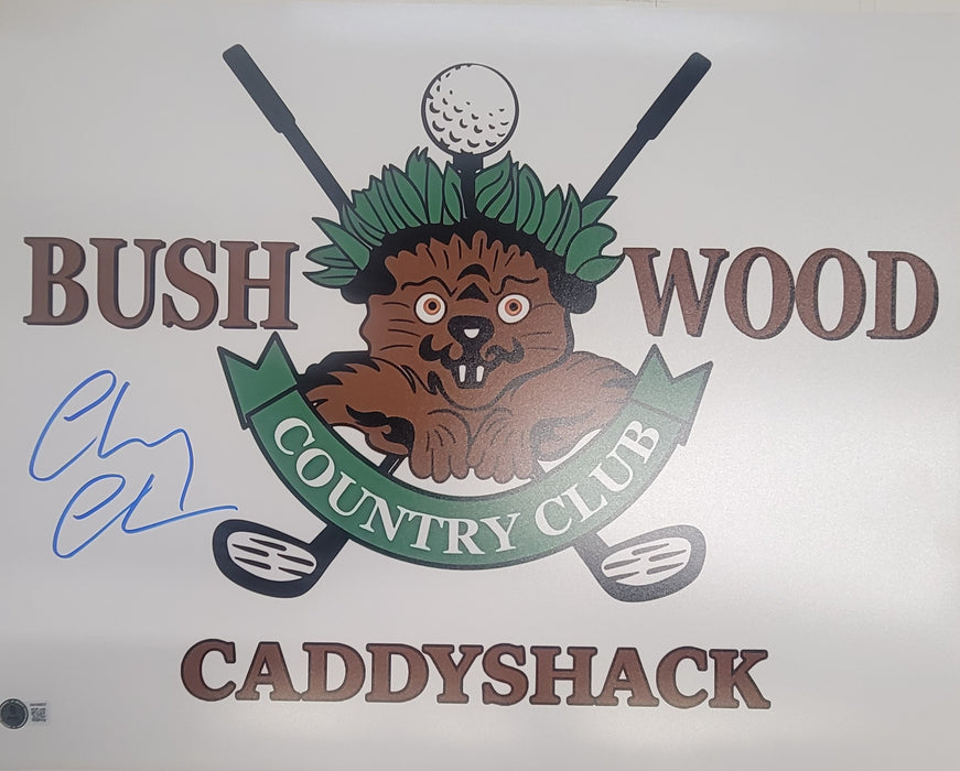 Chevy Chase Signed 16x20 Photo #4