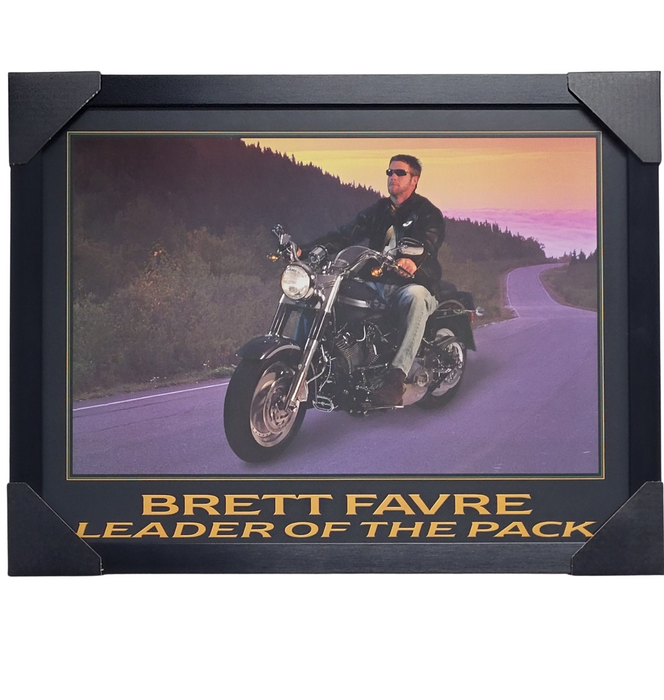 Brett Favre Professionally Framed 16x20 Display