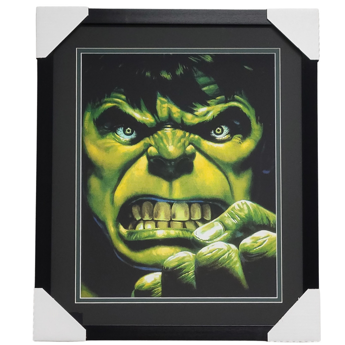 Hulk Professionally Framed 16x20 Display